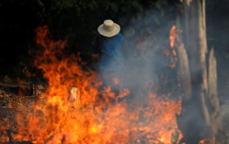  Джунгли Амазонки в огне: пожары угрожают ускорить глобальное потепление